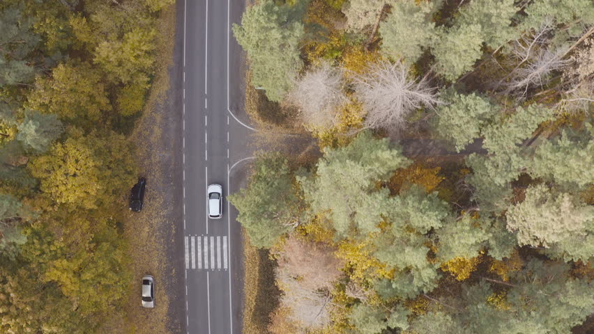 Car riding through autumnal rural road. Auto driving at countryside route at beautiful fall season. White SUV moving through scenic landscape way along yellow autumn forest. Top view Aerial shot
