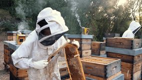 Beekeepers carefully harvest organic honey from hives, surrounded by buzzing bees in a serene garden setting. - Powered by Shutterstock - Get 15% off with code: PIKWIZARD15