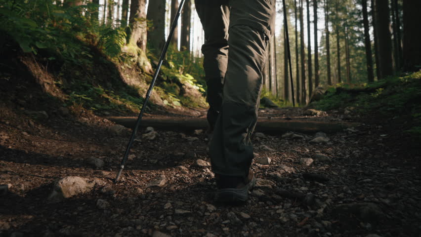 Close-up back following gimbal shot male hiker tourist in trekking shoes going up along stone path trail in mountain forest using trekking poles. Man hiking in woods walks rocky footpath on sunny day