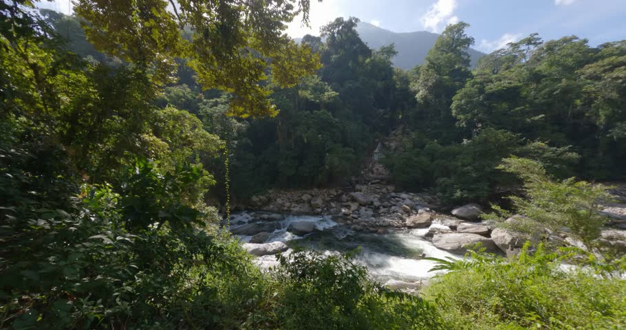 Small waterfall river in jungle. Hard trek to hidden ancient ruins of Tayrona civilization Ciudad Perdida in Colombian jungle. Santa Marta, Sierra Nevada mountains, Colombia wilderness landscape.