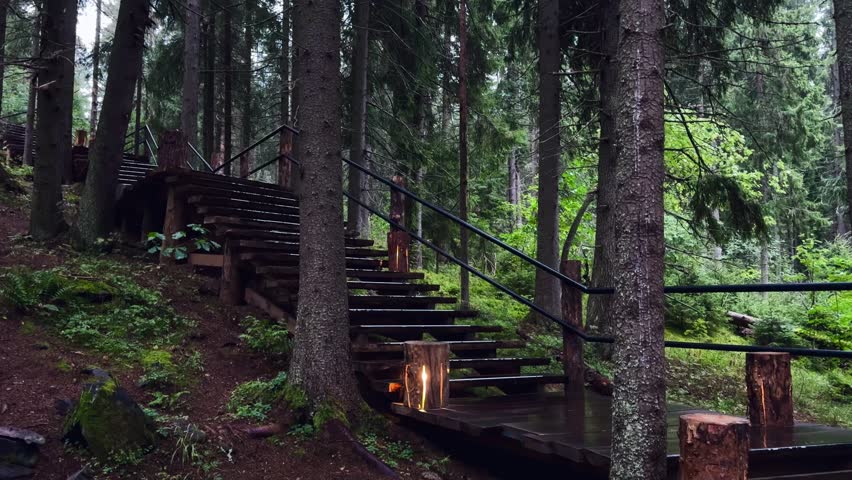 beautiful atmospheric and mystical path in the forest. wooden stairs up in the forest. eco-trail concept, nature of Karelia, Paaso