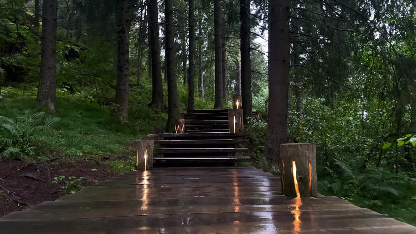 beautiful atmospheric and mystical path in the forest. wooden stairs up in the forest. eco-trail concept, nature of Karelia, Paaso
