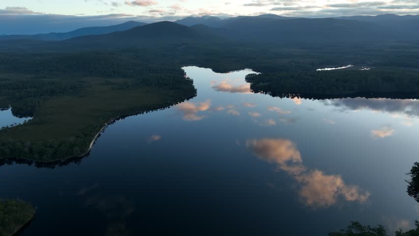 mountains in a wilderness in a national park with native plants and trees in a rainforest in Australia, forest growing in a national park in Tasmania. with rivers and exploring 