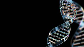 Glass DNA double helix strand rotates on black background loop animation. science and biotechnology concept. 3d render - Powered by Shutterstock - Get 15% off with code: PIKWIZARD15