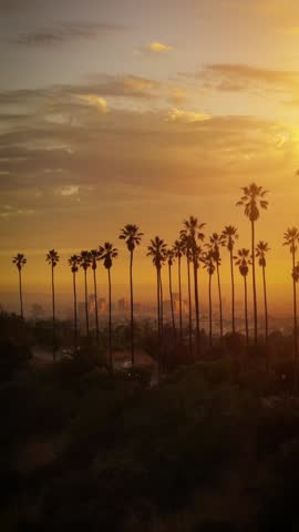 Aerial shot of dramatic clouds and the setting sun behind a row of palm trees. Los Angeles California.