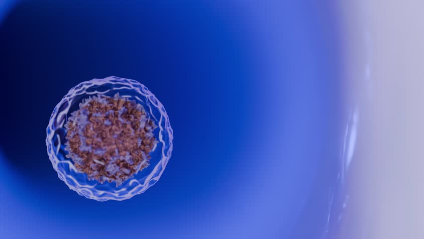 stem cell movement 3d illustration footage