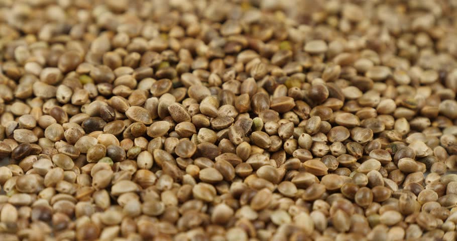 Hemp Seeds Rotating Background, Macro. Organic Food. Dried Superfood. Hemp Seeds Texture Background