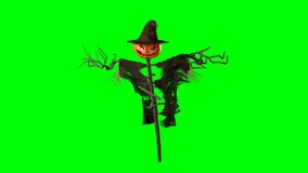 Scary pumpkin-headed scarecrow on green screen background for Halloween animation and design - Powered by Shutterstock - Get 15% off with code: PIKWIZARD15