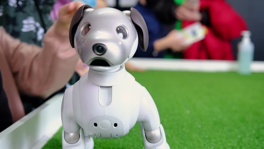 Exploring a robotic dog's head movements when petted by a person, showcasing technology interaction in a playful setting - Powered by Shutterstock - Get 15% off with code: PIKWIZARD15