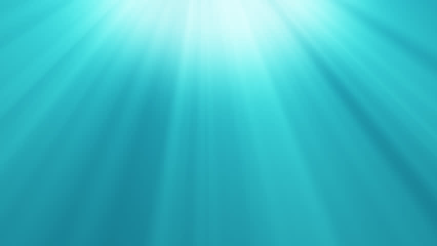 Shutterstock Video