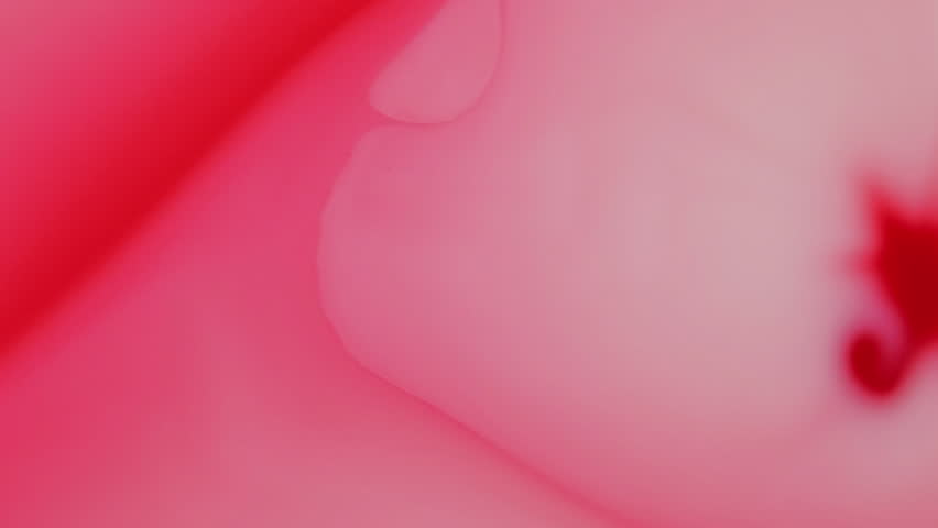 Shutterstock Video