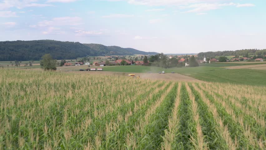 Aerial view of potato digging with a Ropa Keiler tractor in a cultivated field, Bern, Switzerland.