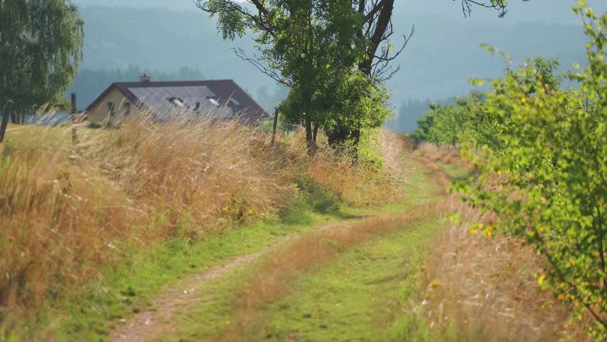 A winding dirt path lined with tall grass and trees, leading toward a house in the quiet countryside. Parallax shot.