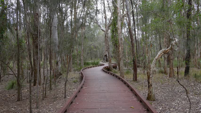 Forest walk path inside recreational park in Gold Coast, Australia outdoor