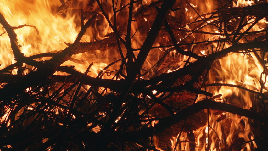 Tree branches burning in a campfire at night in slow motion