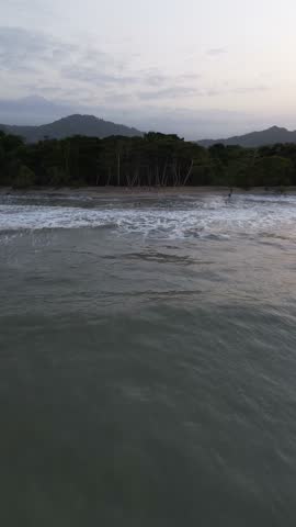 A stunning drone captures the vibrant sunset over Palomino beach in Colombia, flying above swaying palm trees and waves, with a few people strolling along the peaceful shoreline