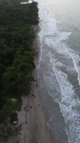 A stunning drone captures the vibrant sunset over Palomino beach in Colombia, flying above swaying palm trees and waves, with a few people strolling along the peaceful shoreline