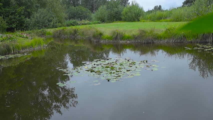 A rural lake or a pond in Saaremaa Estonia during the summer time what reflects its surroundings on the water. Water Lily leaves in the center and trees and bushes on the side of the banks. Cloudy day
