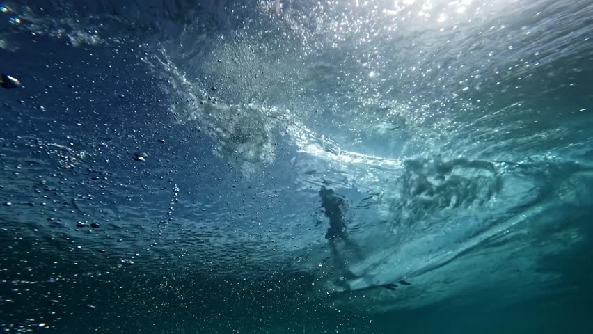 Shutterstock Video