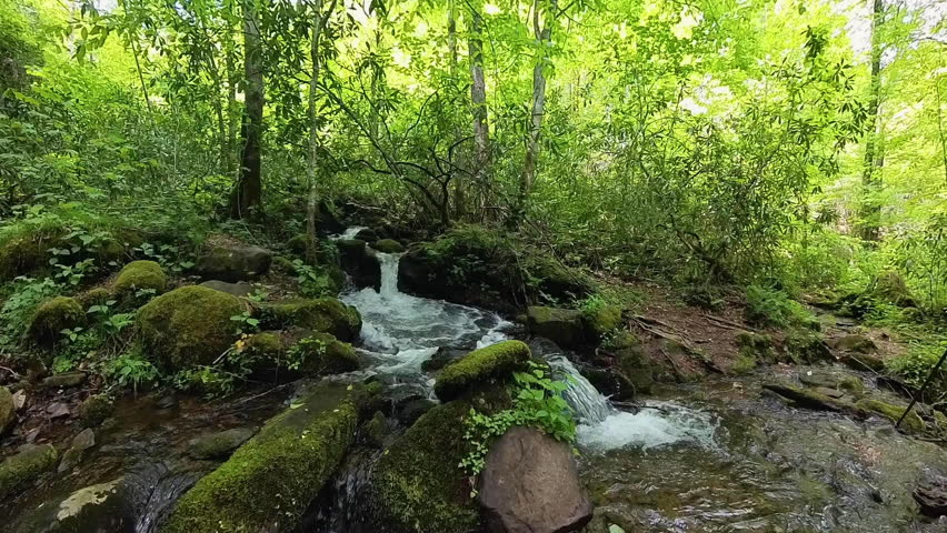 Small Waterfall in Early Summer Forest in the Smokies