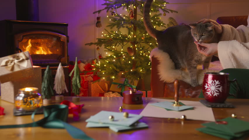 In a cozy Christmas scene, a woman feeds her cat by the crackling fireplace. A decorated tree shimmers with lights, and gifts are piled high, embodying the warmth and togetherness of the holiday