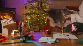 In a cozy Christmas scene, a woman feeds her cat by the crackling fireplace. A decorated tree shimmers with lights, and gifts are piled high, embodying the warmth and togetherness of the holiday - Powered by Shutterstock - Get 15% off with code: PIKWIZARD15
