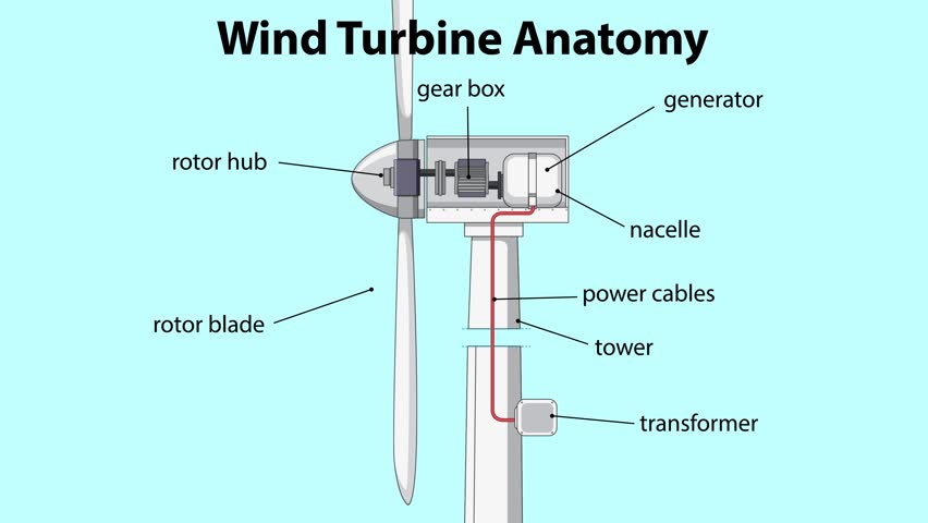 Detailed breakdown of wind turbine components