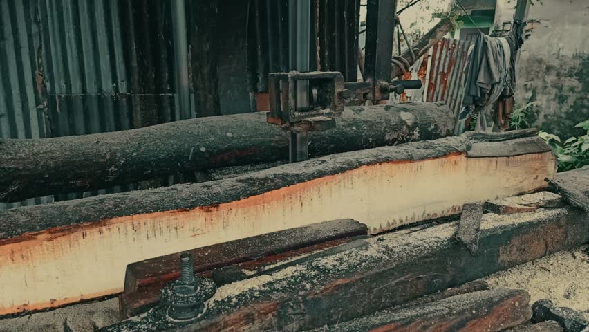two person working in chain sawmill