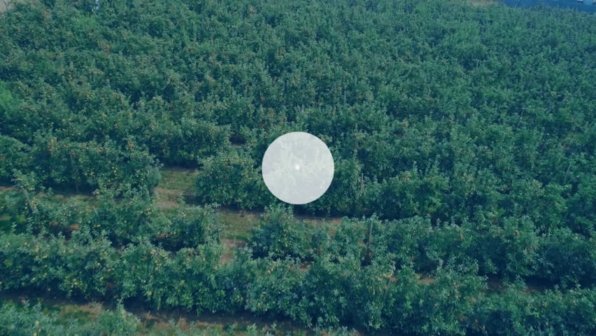 Network of connected devices and data processing animation over agricultural field. Technology, internet of things, smart farming, agriculture, data analysis, innovation - Powered by Shutterstock - Get 15% off with code: PIKWIZARD15