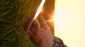 sunset farm assessment, rural business sunset, digital farm records, farm operations sunset, agro business sunset, green wheat monitoring, agritech productivity monitoring, farmer business planning - Powered by Shutterstock - Get 15% off with code: PIKWIZARD15