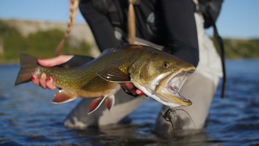 A man holding a fished Trout after fishing