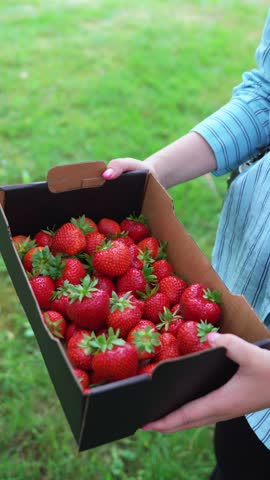 Girl holding a box filled with fresh strawberries, captured in vertical format.