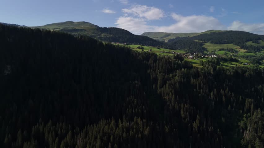 Spruce evergreen forest tree canopy, aerial landscape nature landscape Switzerland