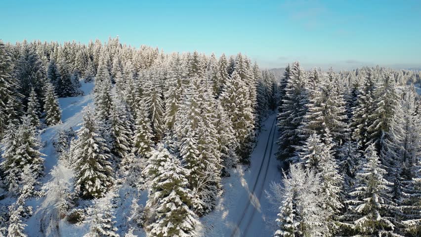 Drone footage of the forest in winter time, landscape snow covered trees nature - beautiful Europe aerial pine forest mountain, season travel white frozen nature idyllic