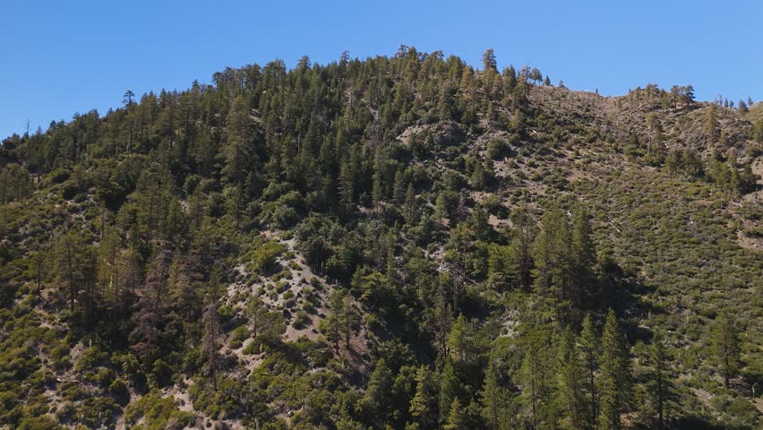 Flying Above Forested Mountain In San Gabriel Range, San Bernardino County, California. aerial shot