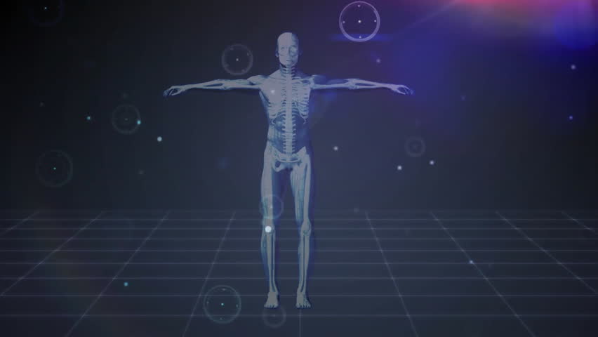 Shutterstock Video