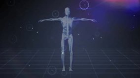 Human skeleton with arms outstretched, surrounded by scientific data animation. Anatomy, science, medical, digital, technology, healthcare - Powered by Shutterstock - Get 15% off with code: PIKWIZARD15