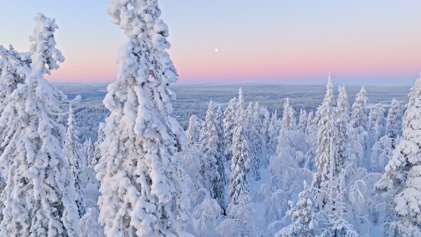 Aerial tracking shot of snowy trees and a half moon on a colorful polar night sky