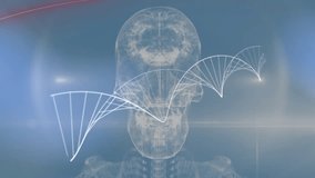 Animating DNA strand over transparent human skull and spine. Genetics, biology, science, anatomy, technology, digital - Powered by Shutterstock - Get 15% off with code: PIKWIZARD15