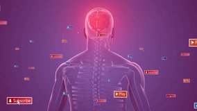 Human skeleton and brain with social media buttons animation over purple background. Technology, digital, concept, connection, healthcare, anatomy - Powered by Shutterstock - Get 15% off with code: PIKWIZARD15