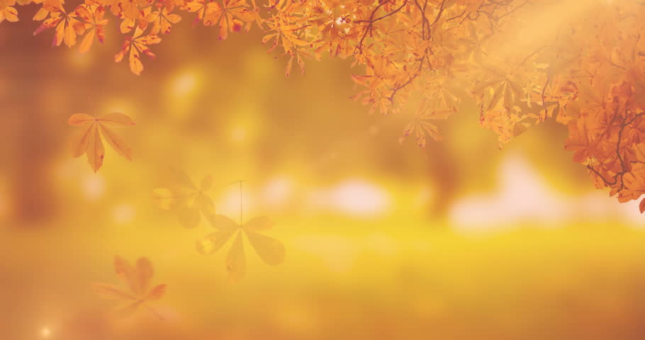 Animation of happy thanksgiving day text over autumn leaves background. Thanksgiving day, american tradition, celebration autumn and fall concept digitally generated video.