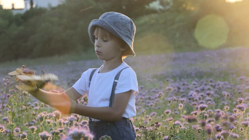 Beautiful school child in a flower field on sunset, playing with airplane and vintage suitcase, summertime
