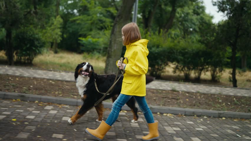 Side view of a happy little blonde girl in a yellow jacket walking with her dog along the alley in the park after the rain