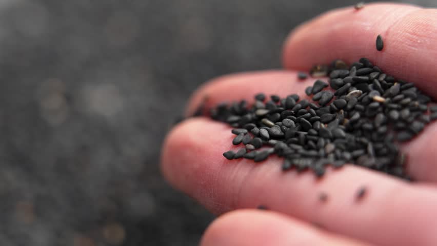 Raw black organic sesame seeds falling from gourmet hand on rotating background. Slow motion. Macro shot