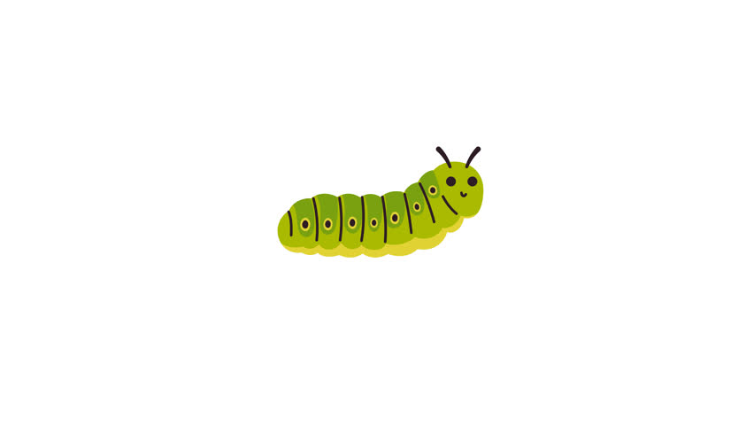 Cheerful green caterpillar animation with a smiling face on a plain white background