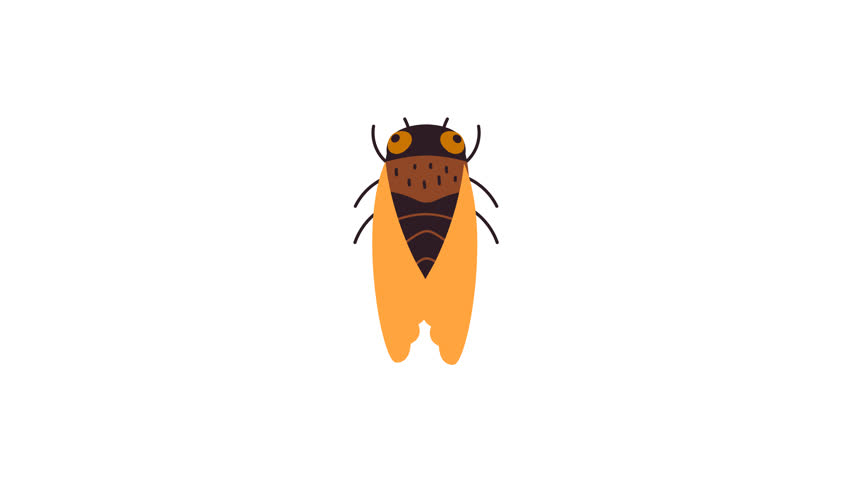 Animation of a cicada with open wings. The art is simple and in a cartoon style, featuring yellow and orange tones.