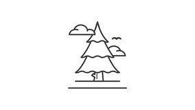 pine tree spruce tree animated icon motion graphic video, forest wood cartoon animation, seamless looping alpha channel - Powered by Shutterstock - Get 15% off with code: PIKWIZARD15