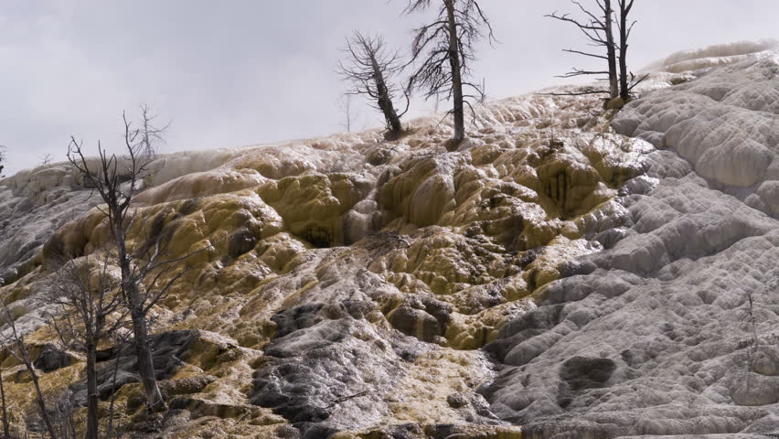 Cinematic shot of scenic landscape in Yellowstone National Park, USA