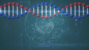 Processing scientific data, DNA strand and binary coding animation. Science, technology, analysis, genetics, digital, research - Powered by Shutterstock - Get 15% off with code: PIKWIZARD15