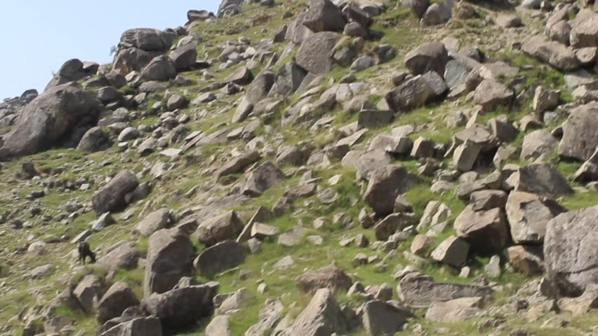 A footage of Rocky mountain, having large Stones or Boulders